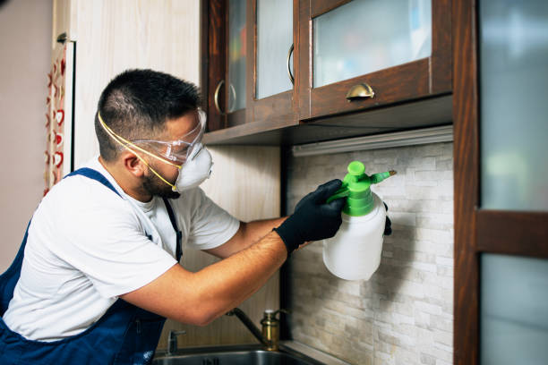 Best Bed Bug Extermination  in Ashley, PA